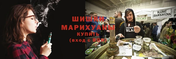 гашик Белокуриха