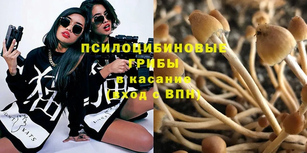 MDMA Богородск