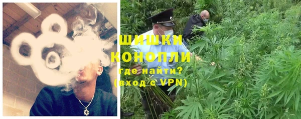 хмурый Богородицк