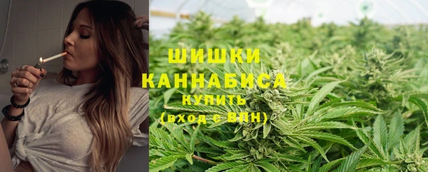 СК Богданович