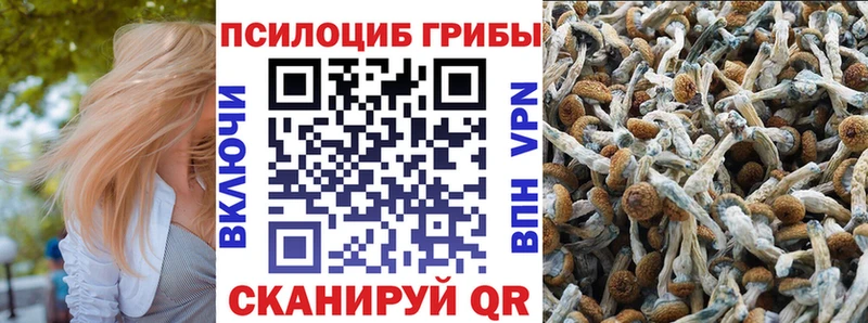 Псилоцибиновые грибы мицелий  мега как зайти  Волжск 